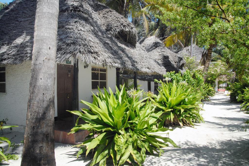 Paradise Beach Bungalows Paje Esterno foto