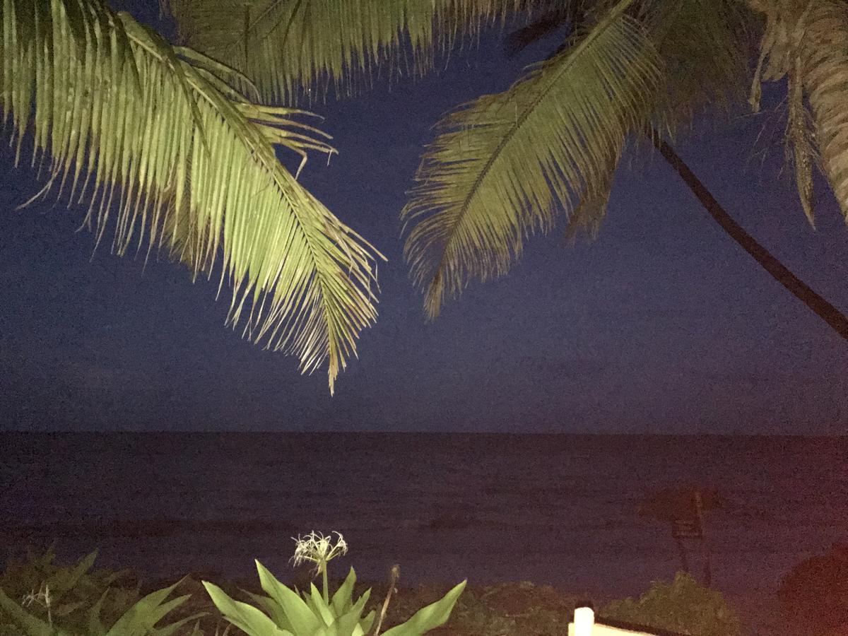 Paradise Beach Bungalows Paje Esterno foto